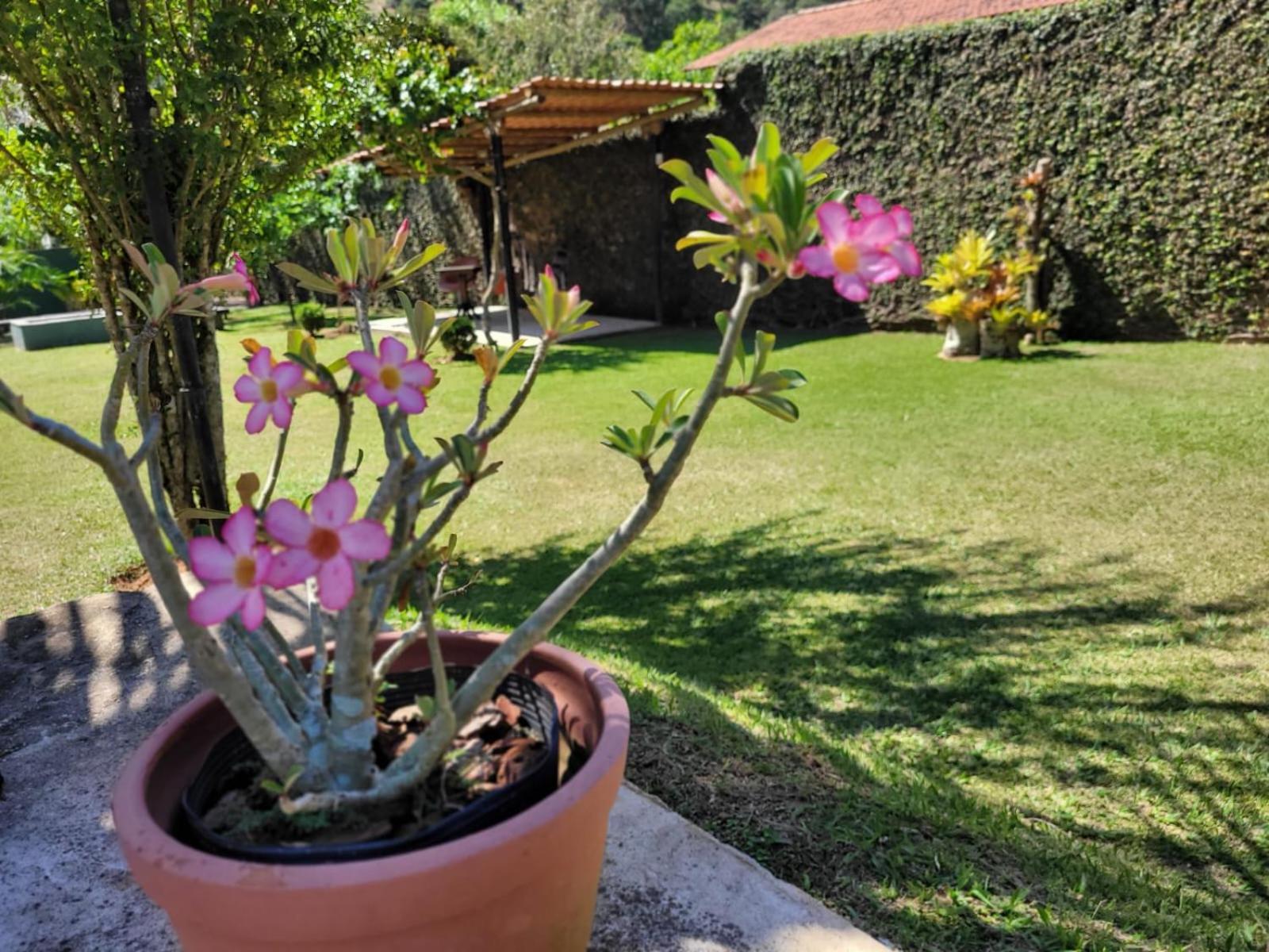 Villa Terracotta 米格尔-佩雷拉 外观 照片